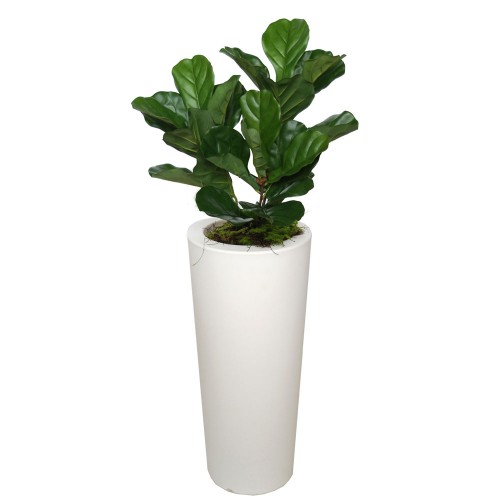 Planta semi-artificiala Ila, Ficus Lyrata Bush Small Green - 120 cm